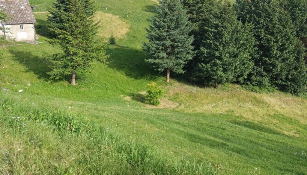 scopri come l'abbinamento del verde nei miei outfit per 30 giorni ha trasformato il mio stile e la mia percezione di me stesso.