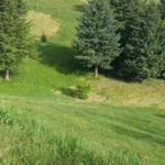 scopri come l'abbinamento del verde nei miei outfit per 30 giorni ha trasformato il mio stile e la mia percezione di me stesso.