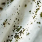 scopri i motivi per cui la muffa continua a comparire sui tuoi tessuti anche dopo la pulizia e come prevenirla efficacemente.