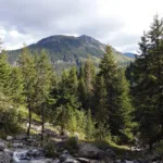 scopri l'errore comune che tutti fanno in primavera e impara cosa fare davvero per affrontare al meglio questa stagione.